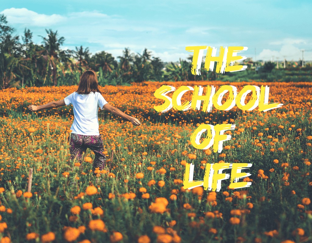 another-option-the-school-of-life-moneybyramey