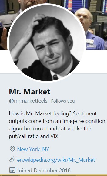Erratic Mr. Market